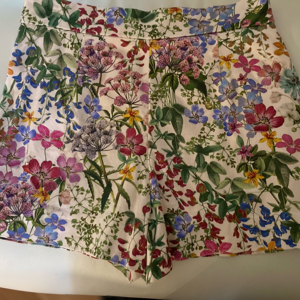 Zara shorts